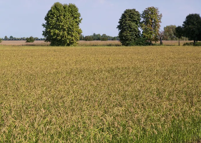 Montemezzi Szálloda