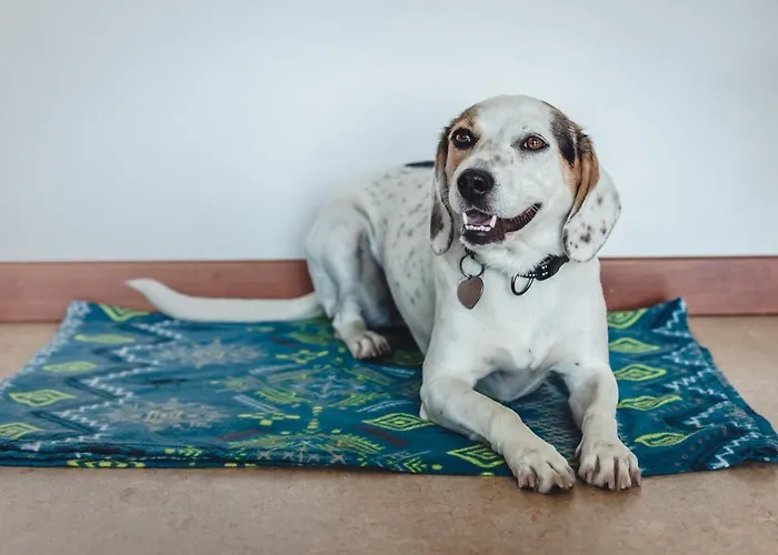 Montemezzi Szálloda Vigasio